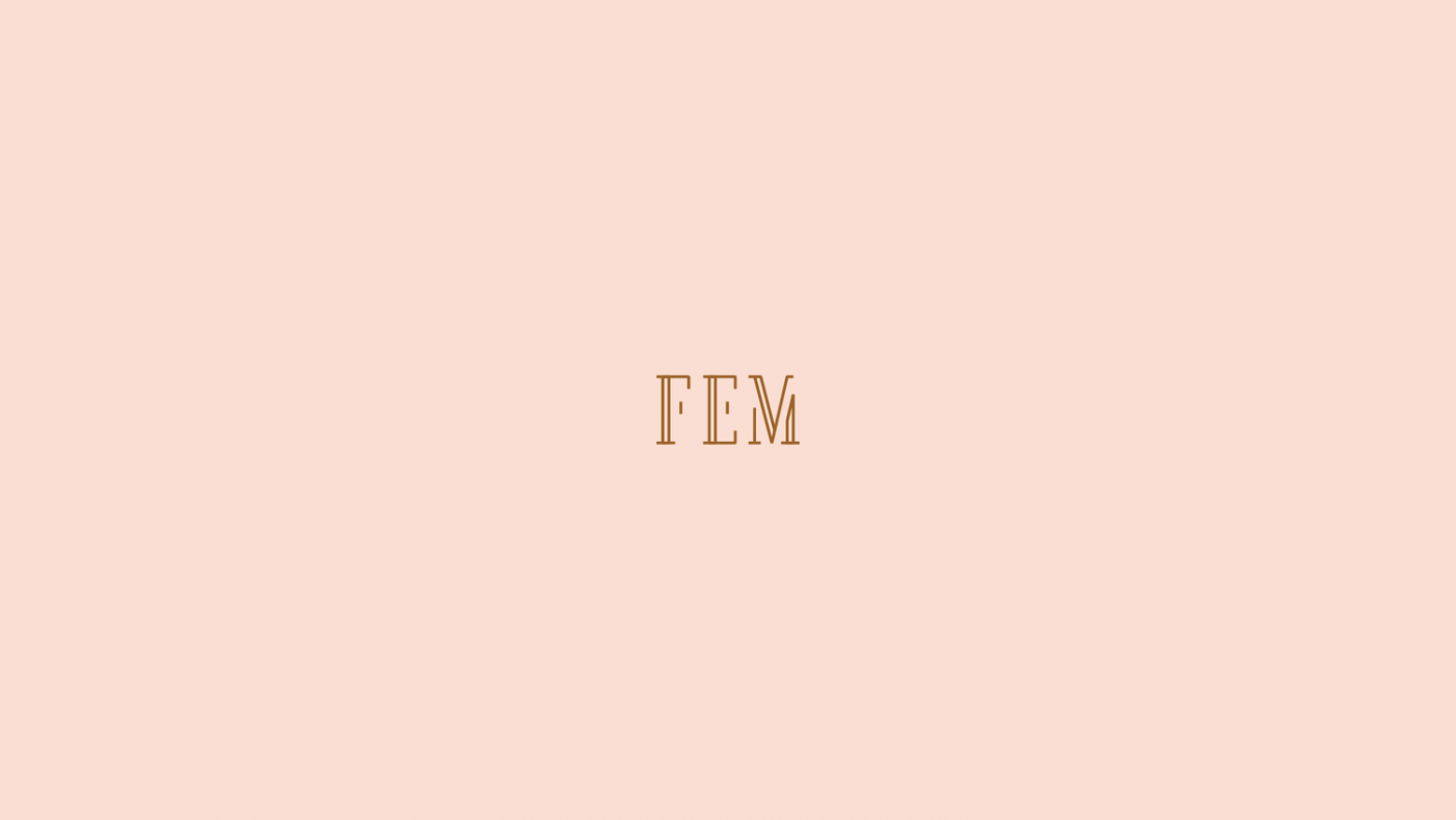 FEM Logo Design by upstruct